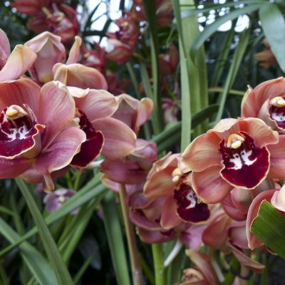 Spring Break Planners: Are You an Early Bird or a Late Bloomer?