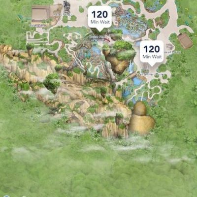 Visiting Disney Pandora? Why You Should Skip the Rope Drop