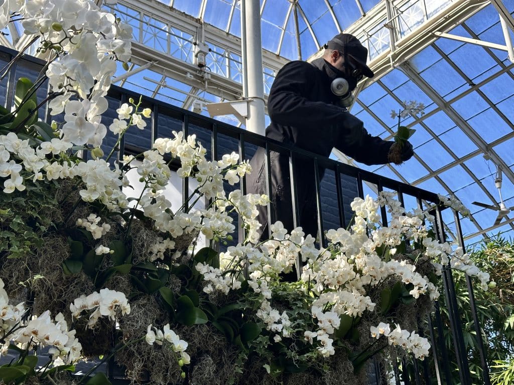 Mr. Flower Fantastic at work on an exhibit at the NYBG Orchid Show.