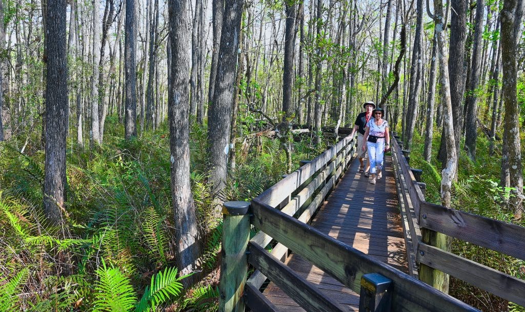 Man and woman walking on boardwalk trail at Six Mile Cypress Slough Preserve in Fort Myers Florida